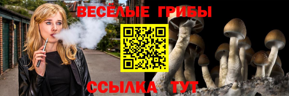 Псилоцибиновые грибы мицелий  Вход с VPN  Урюпинск  Галлюциногенные грибы Cubensis 